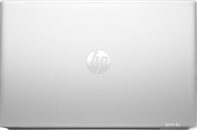 HP ProBook 455 G10 9G204ET 2 ТБ SSD + 24 ГБ DDR  HPmarket.by